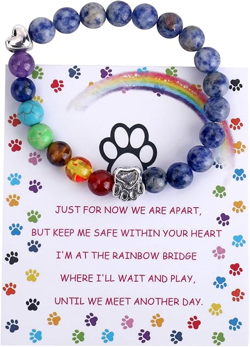 Rainbow Bridge Memorial Armband – 7 Chakra-Perlen Geschenk zum Verlust eines Haustieres